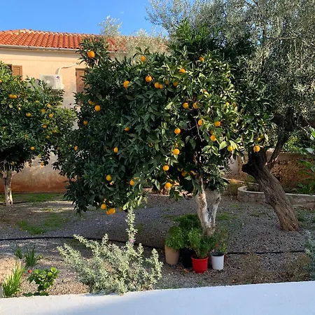 Zacharos Elegant Apartamento *