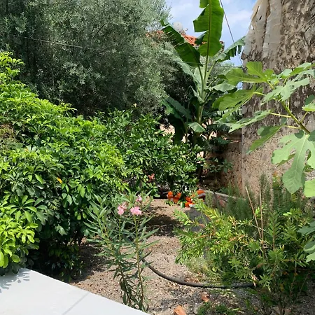 Zacharos Elegant Appartement *