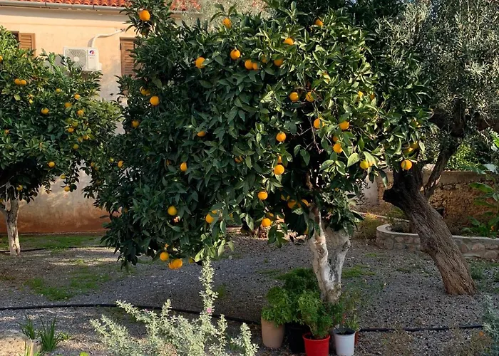 Zacharos Elegant 아파트 *