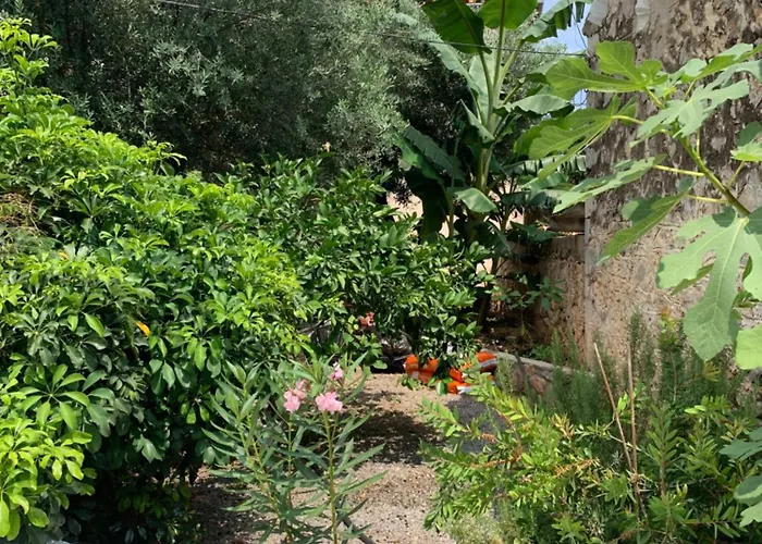 Zacharos Elegant Apartamento *